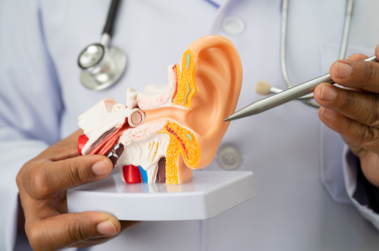 General ENT Consultation